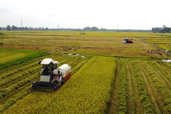 Dịch vụ sau thu hoạch
