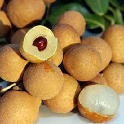 Trái cây miền Bắc 4