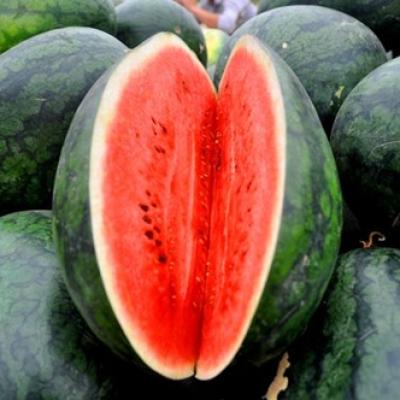 Các loại Trái cây 3